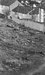 Barrhead News: Illegal fly tipping problem in the Springhill area of Barrhead. 16th April 1983.