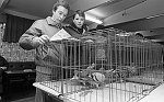 Barrhead News: Young birds auction at Masonic Halls, Cochrane Street. 2nd May 1983.